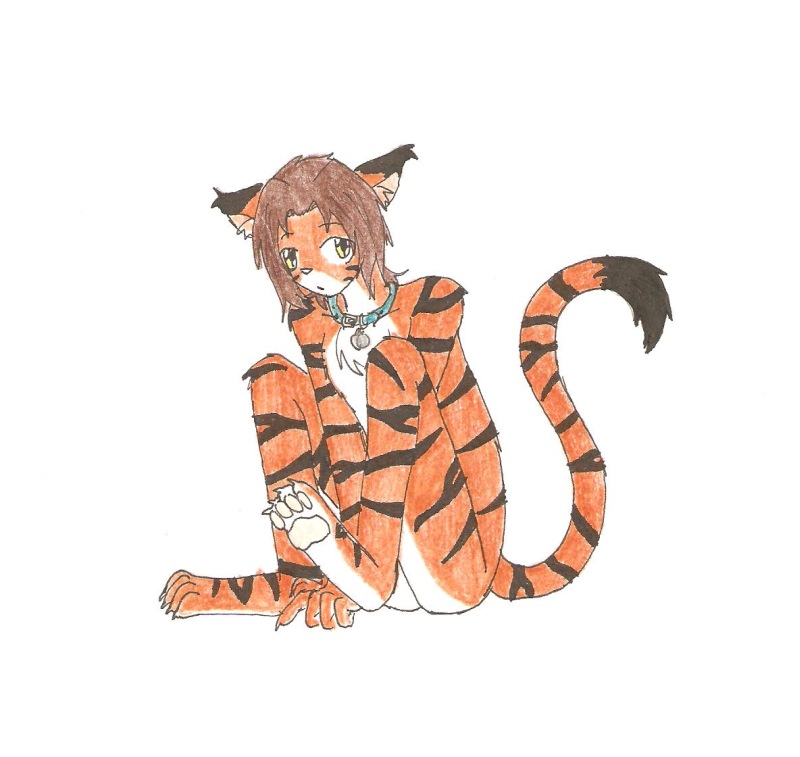 Tiger boy by Koji45