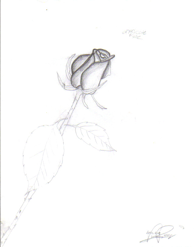 Elegant Rose by Kokoru14