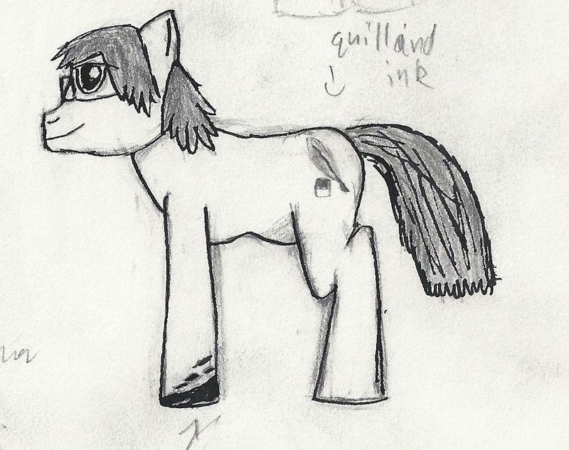 Me as a Pony. by Kooldude