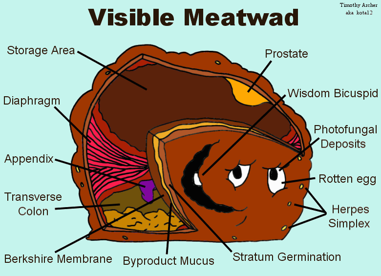 Visble Meatwad by Kota12