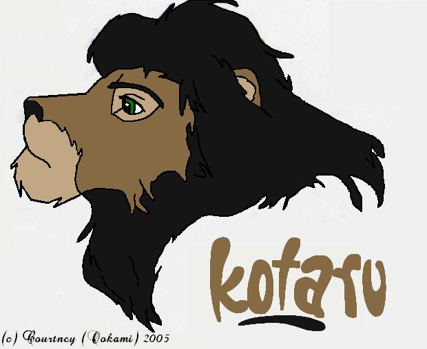 Kotaru by Kotoni
