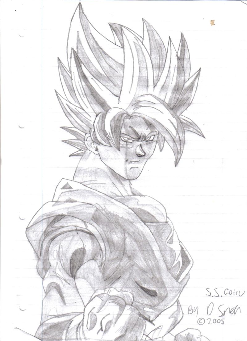 SS Goku by Krypto