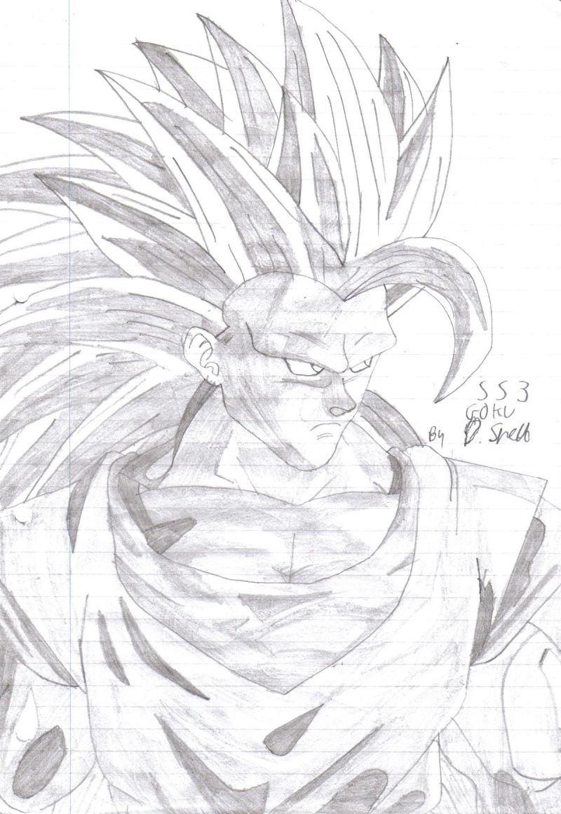 SS3 Goku by Krypto