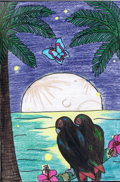Night in the Tropics by Kumquat