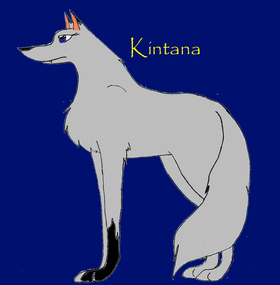 Kintana *Porthos_kitten's request* by Kuroi-Kaze