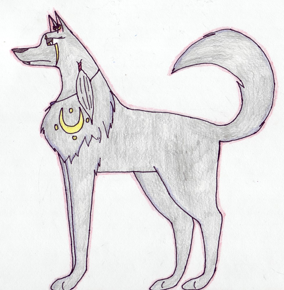 Kuroi (wolf form) by Kuroi-Kaze