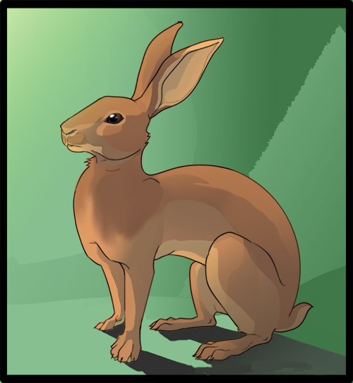 Belgian Hare by Kururu