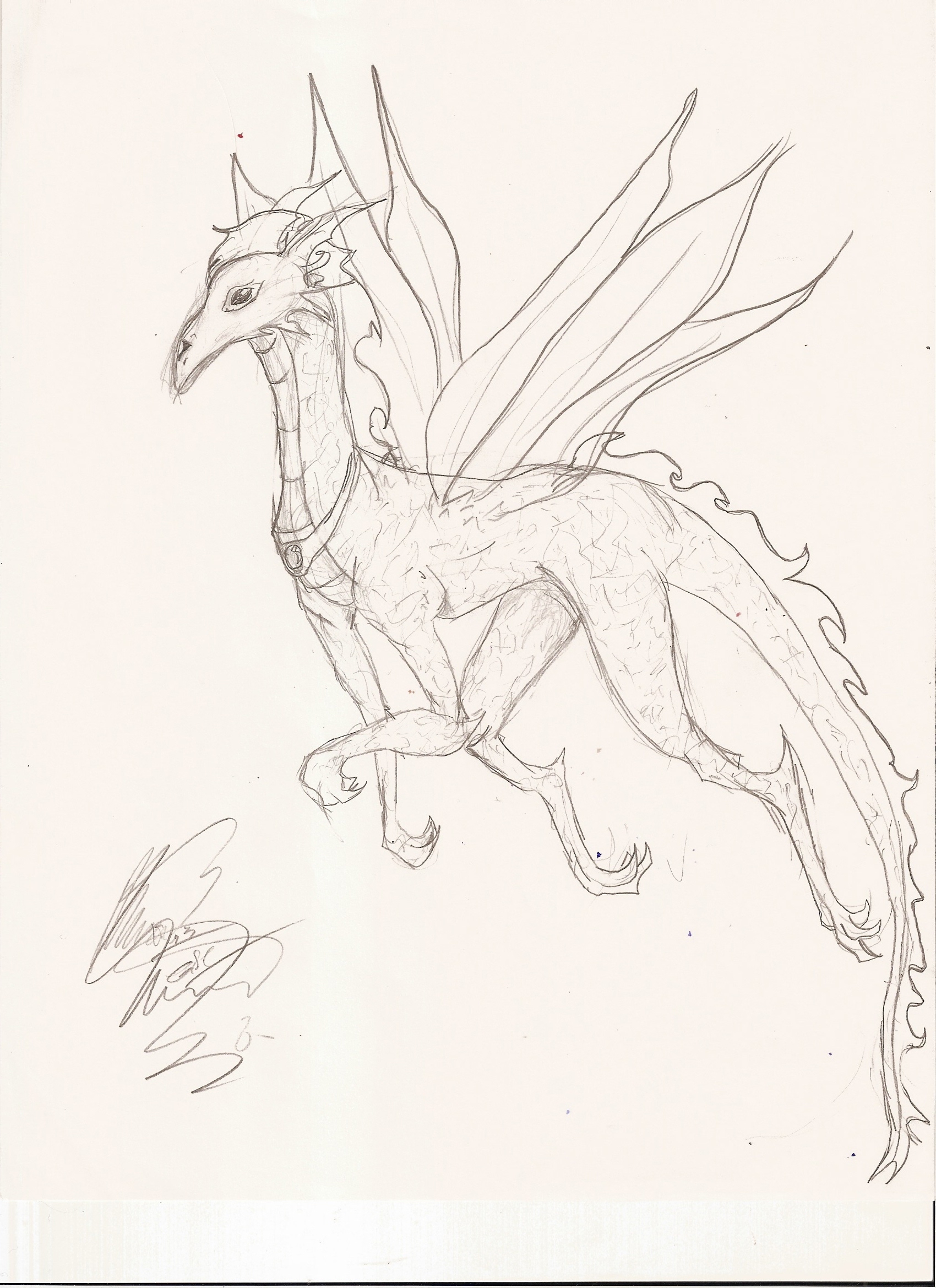 Fairy Dragon by KyosGirl