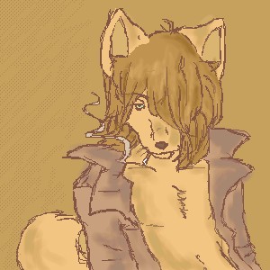 Brown Wolf by Kyot222