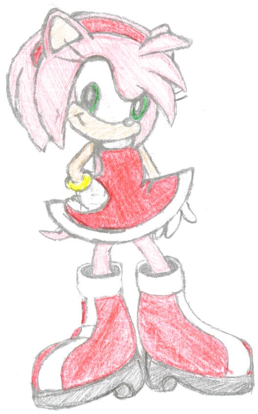 Amy Rose my best pic. by k9puppyg
