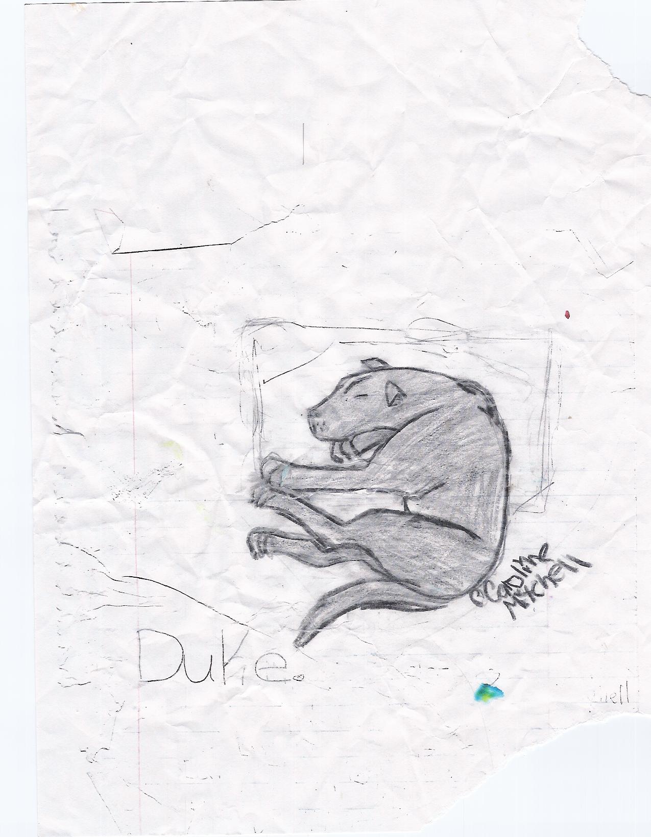 My deceased dog, Duke. by kagomeness