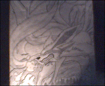 nine tails demon fox (kyuubi) by kakashikim
