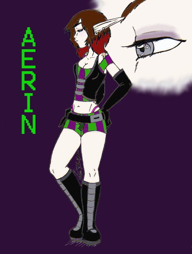 Aerin's Shmexy Racing Outfit by killersheepie