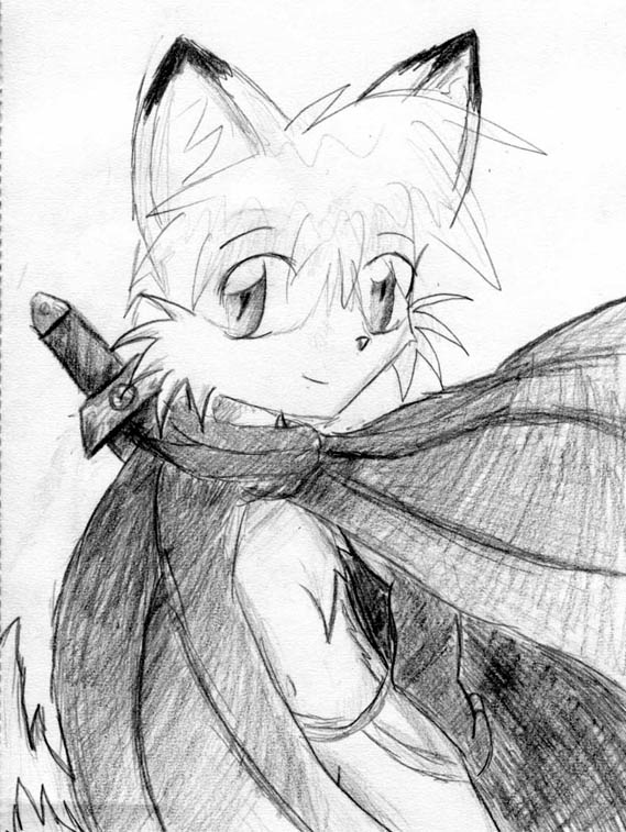 Fox Knight by kit38