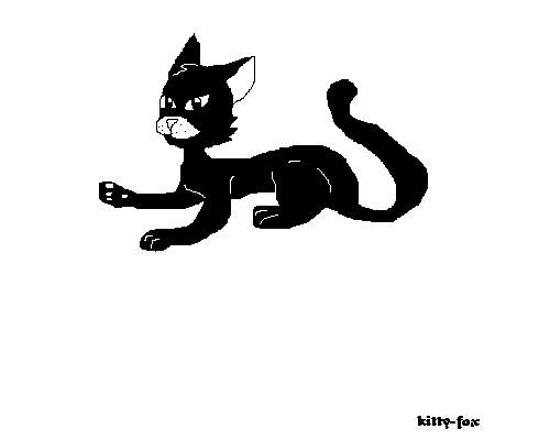 black cat by kitty-fox