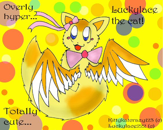 Luckylace the cat! by kittykatcrazy123