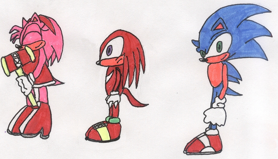 A few Sonic character profiles by kittyshootingstar