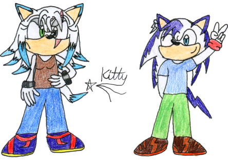 Brome and Zexas the hedgehogs by kittyshootingstar