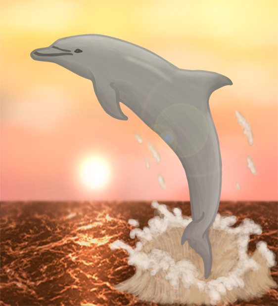 Dolphin at Sunset by kittyshootingstar