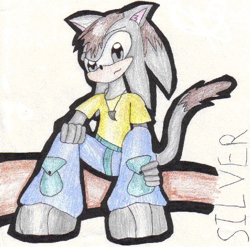 Silver the Hedgehog Cat by knucklesgal