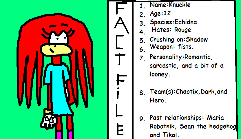 My fact file by knucklethechidna
