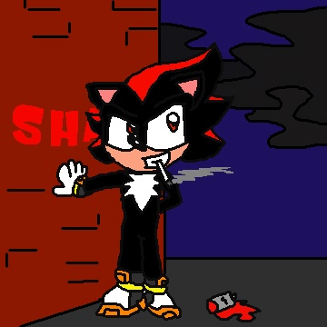 The Wrong Path 3 (Shadow) by knux_and_rouge_fan