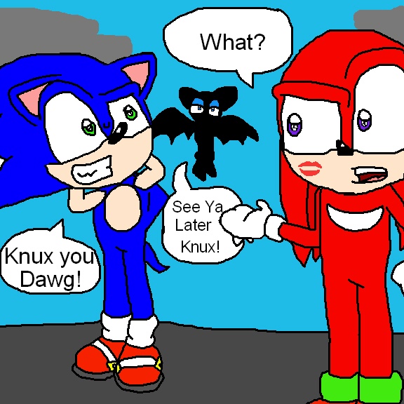 What? (Kncuckles And Sonic) by knux_and_rouge_fan
