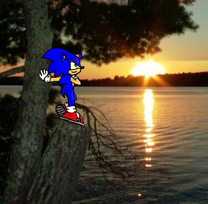 Sunset (sonic) -real background!- by knux_and_rouge_fan