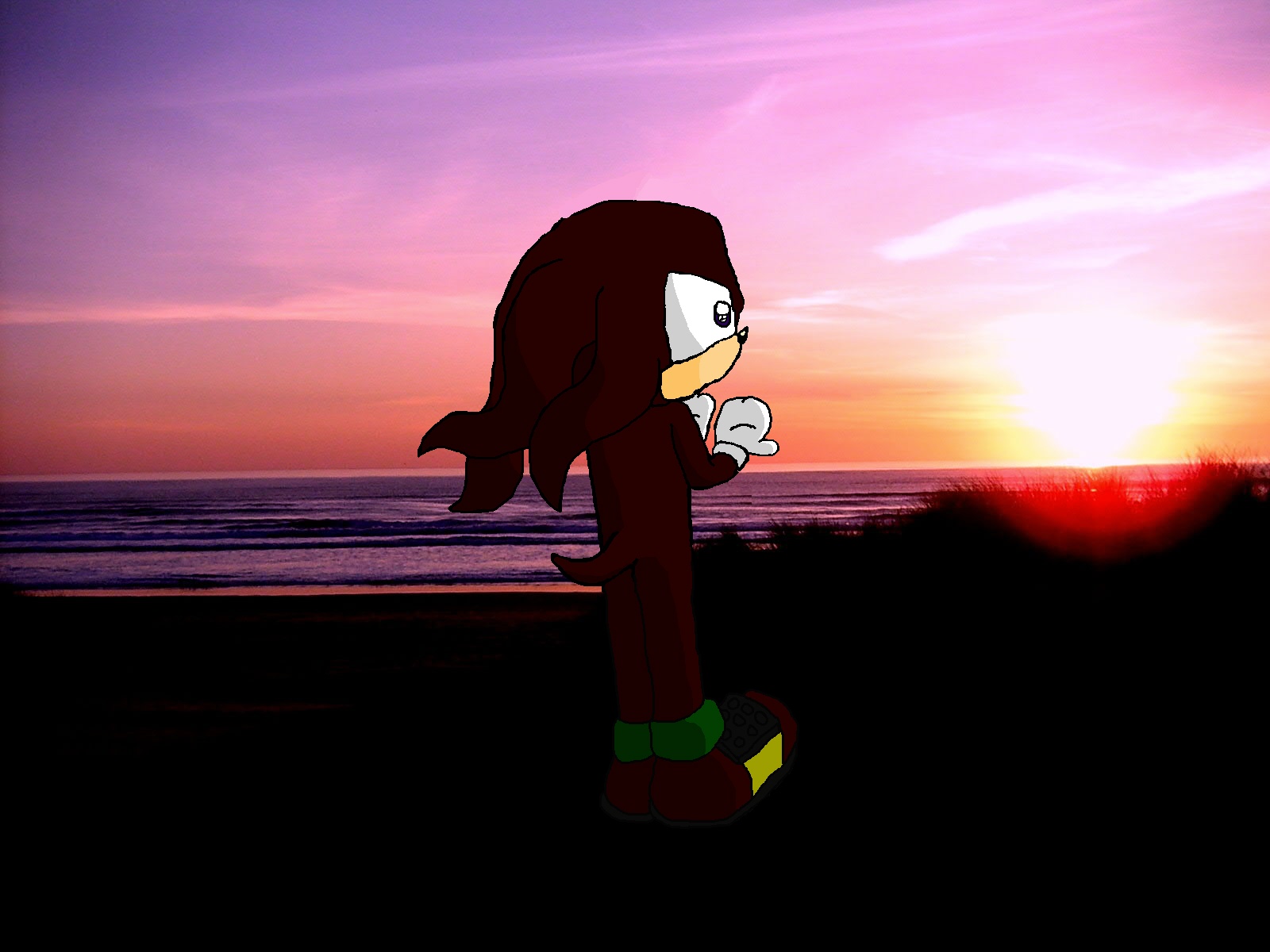 Black Sunset (Knuckles) -real background!- by knux_and_rouge_fan
