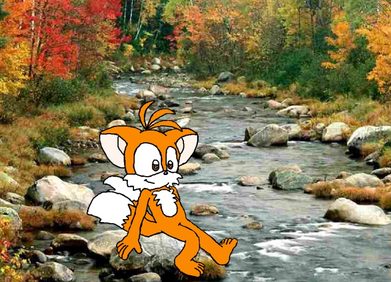 Autumn Stream (Tails) by knux_and_rouge_fan
