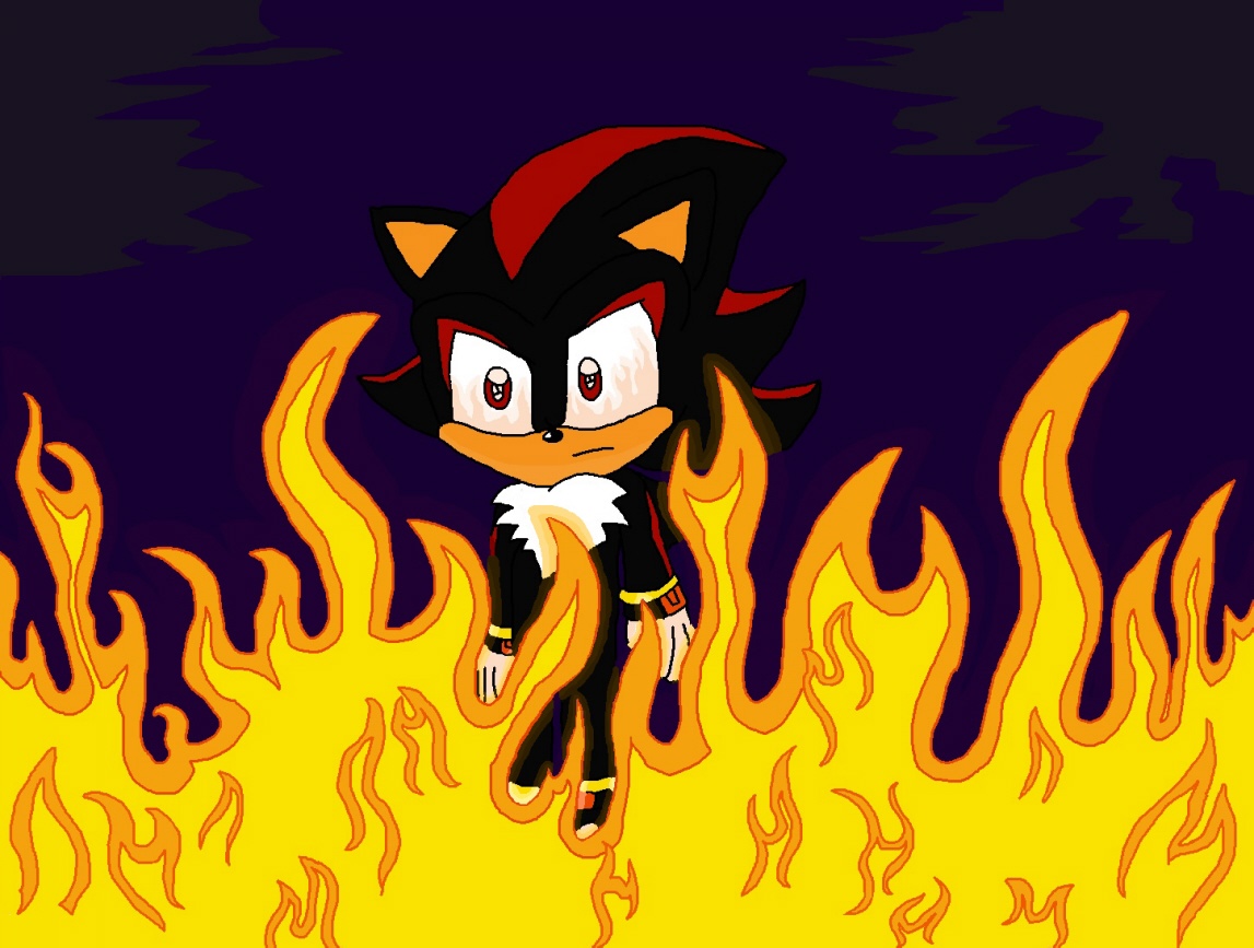 Into The Fire (Shadow) by knux_and_rouge_fan