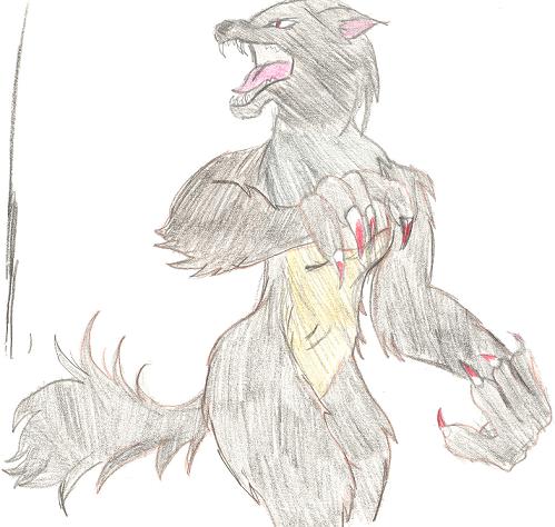 werewolf by kori-okami