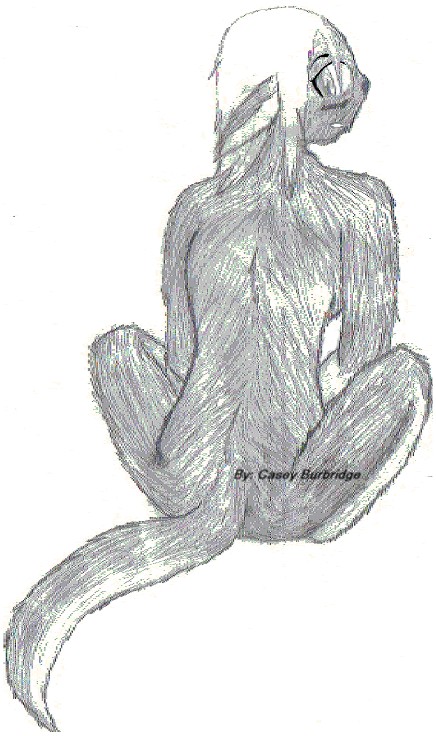 Wolf Girl by krunoyoko