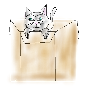 Kitty cat in cardboard box! by kugoinarutogirl41