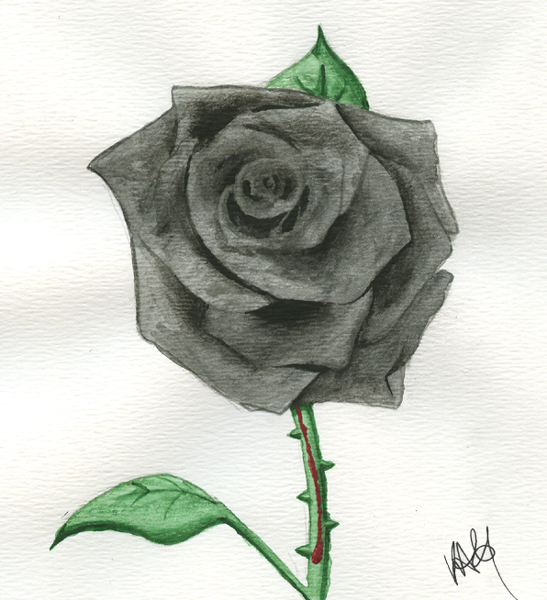 Black Rose by kurisu_yoi