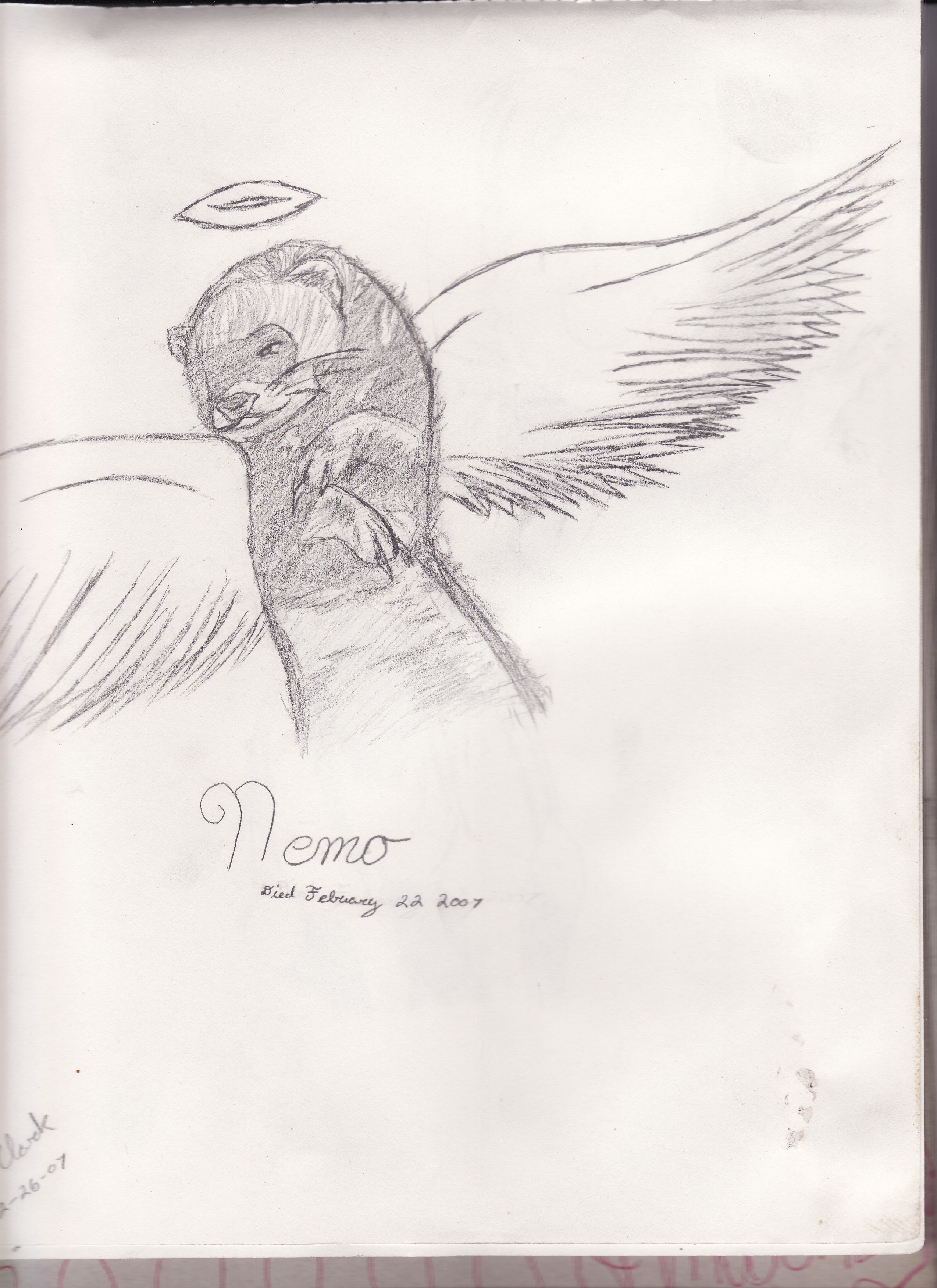 Nemo the angel ferret. by kylaVegeta