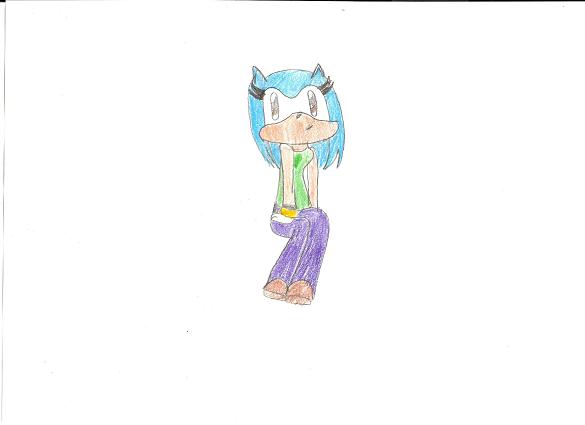 Sonicpuppyluver18 contest entry by Lady_Ayame316