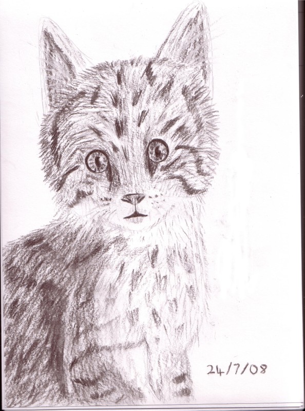 A Kitten by Lakarukashuka