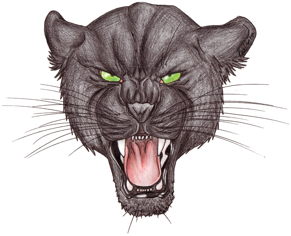 BHS Black Panther by Lamia