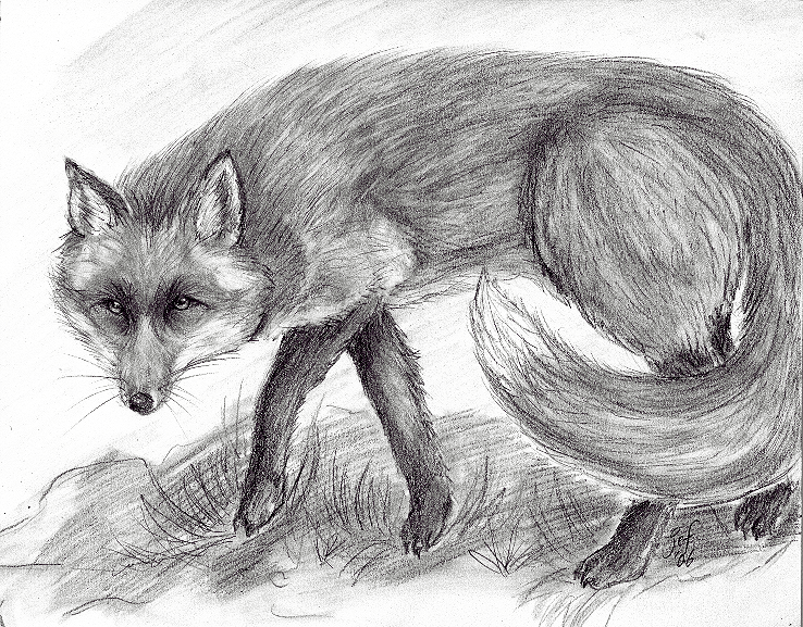 Foxy? by LefseNinja