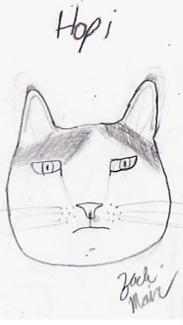 My Cat Hopi by Legolas979