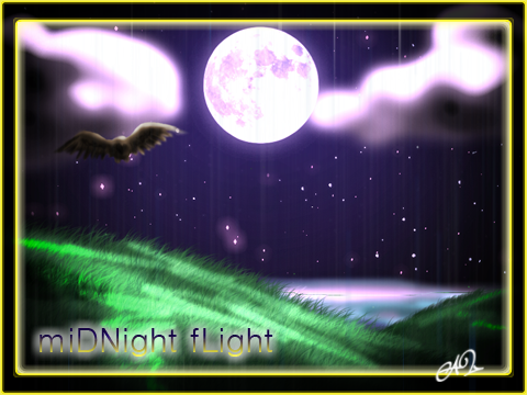 Midnight Flight by Liezy