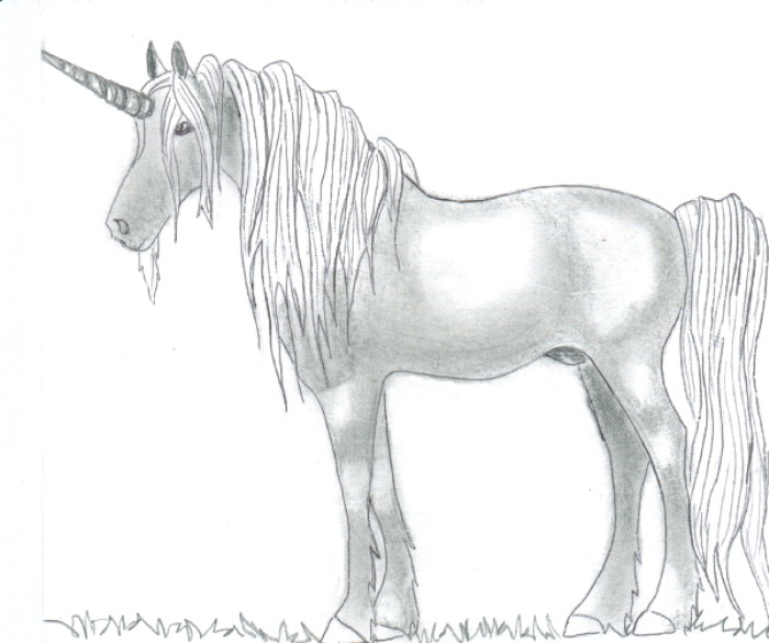 unicorn by Lil-Misfit