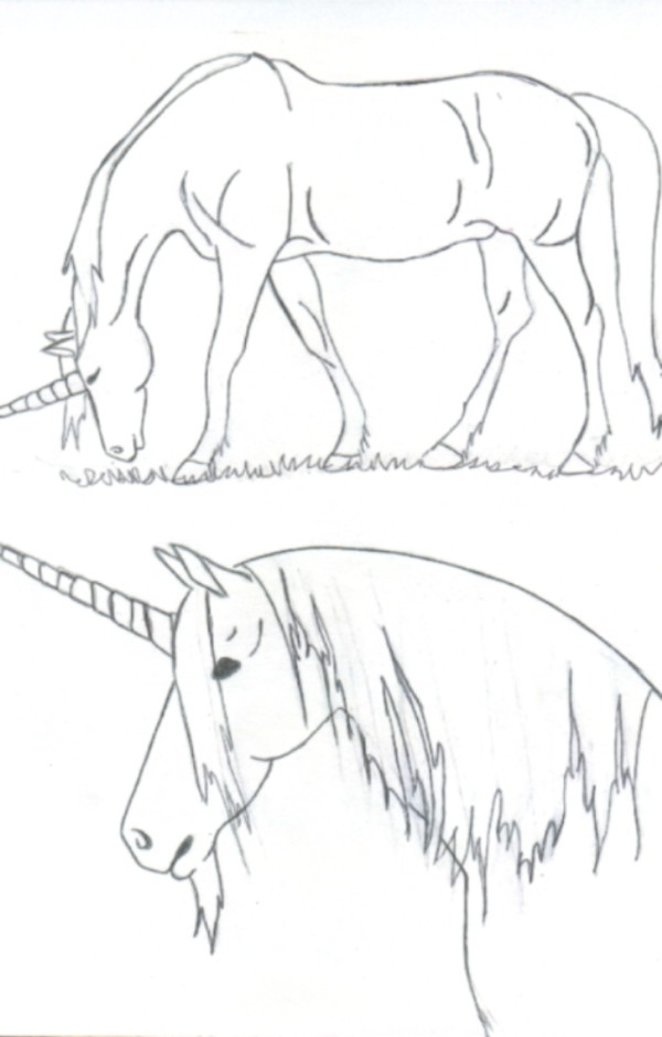 2 Unicorn by Lil-Misfit