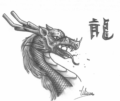 Quick dragon sketch by Lilium