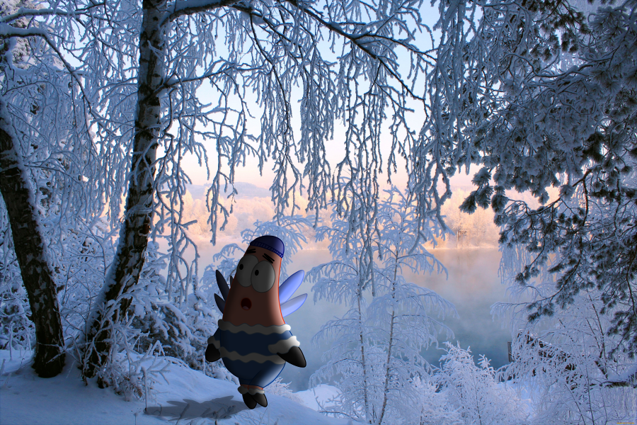A walk through the snowy forest by LilyBeanie04