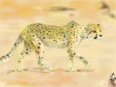 Cheetah by LinZ