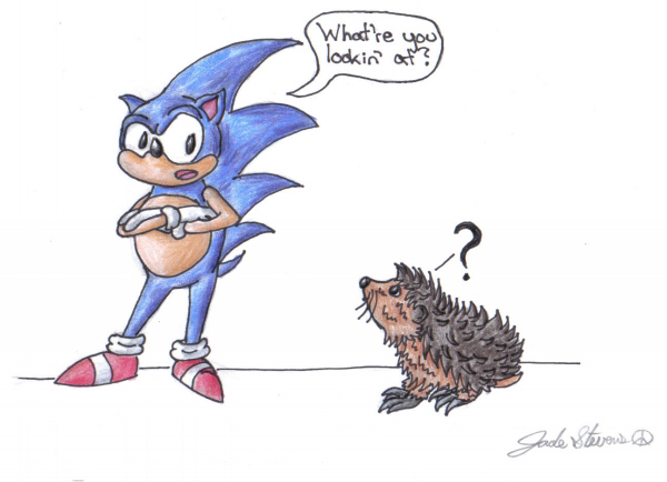 Sonic... and a Hedgehog by Link_Lover1187