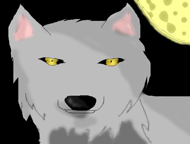 A wolf by LinkinPark_ChazzyChaz