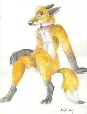Fox watercolour by LiquidOnyx